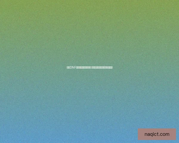 全新DNF勇者装备礼盒震撼上线 获取顶级装备助你轻松挑战副本